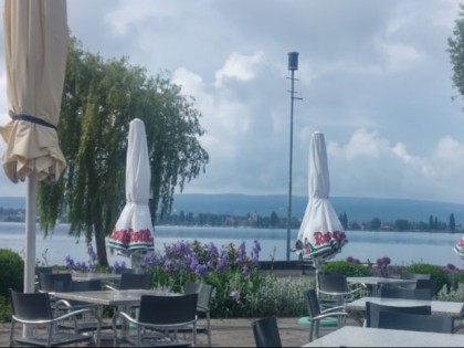 Foto: Seegarten Allensbach